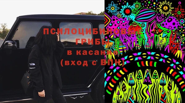 прущие крисы Коряжма