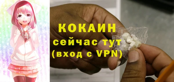 индика Козельск
