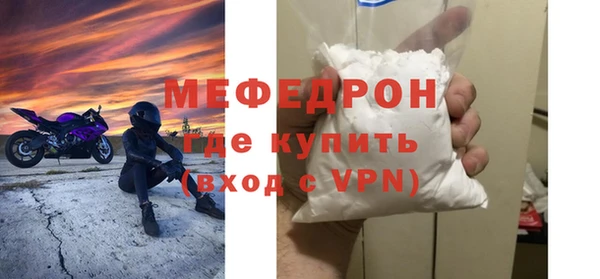 индика Козельск