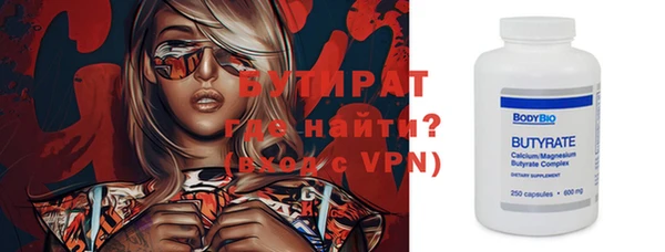индика Козельск