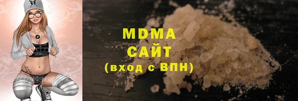 индика Козельск