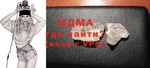 индика Козельск
