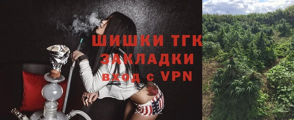 индика Козельск