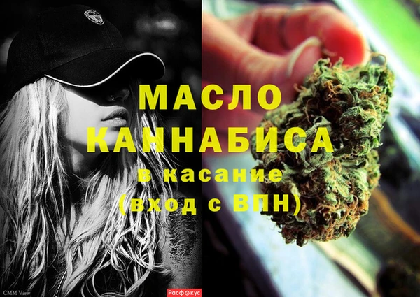 индика Козельск