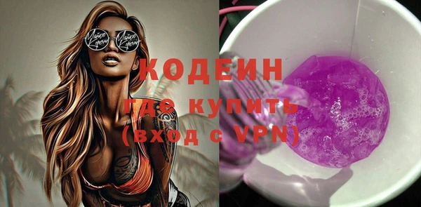 стаф Корсаков