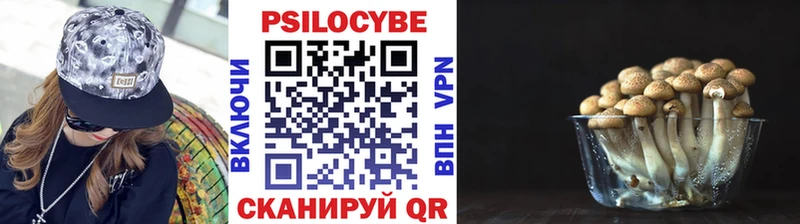 Псилоцибиновые грибы ЛСД Купить Волосово